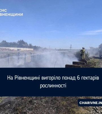 На Рівненщині за добу згоріло понад 6 га сухої рослинності