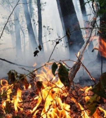 На Полтавщині оголосили надзвичайний рівень пожежної небезпеки