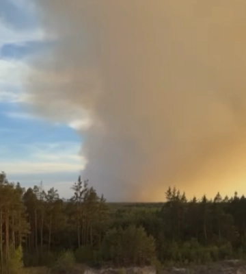 У Польщі під час гасіння лісової пожежі розбився літак, пілот загинув