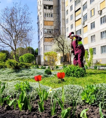 Новую большую клумбу обустраивают в Харькове: что там высадили 