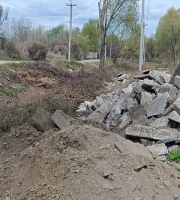 У Києві виявлено масове нищення дерев у заказнику «Озеро Заплавне» 