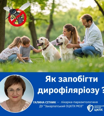 Закарпатців попереджають про небезпечний дирофіляріоз