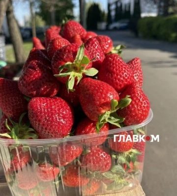 У Києві з’явилася закарпатська полуниця: скільки коштує кілограм першої ягоди