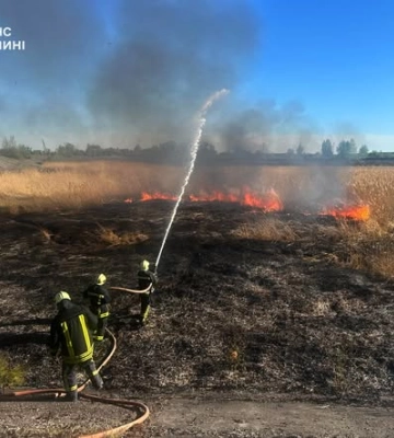 Палали чагарники та очерет: волинські вогнеборці приборкали 10 пожеж