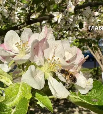У Тернополі зафіксували температурний рекорд