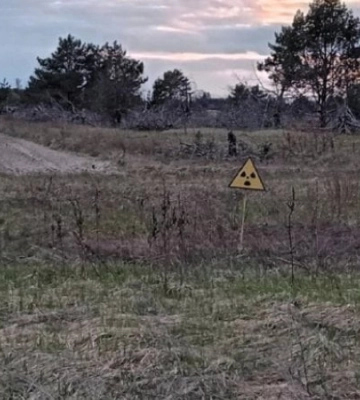 На землях Чорнобильського заповідника незаконно вирощували зернові — прокуратура