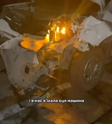Звёздный олень Борис снова попал в ДТП во время эвакуации (ВИДЕО)