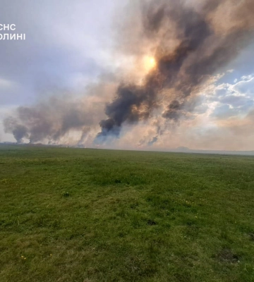 На Волині за добу вигоріло 24 гектарів сухостою: рятувальники ліквідували 17 пожеж