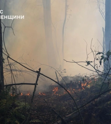На Сарненщині локалізували масштабну лісову пожежу