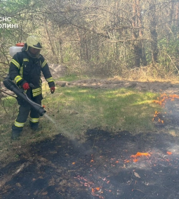 На Волині за добу вигоріло 24 гектарів сухостою: рятувальники ліквідували 17 пожеж