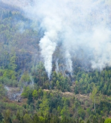 Боротьба з лісовою пожежею на Мукачівщині триває