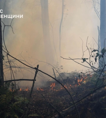На Сарненщині локалізували масштабну лісову пожежу