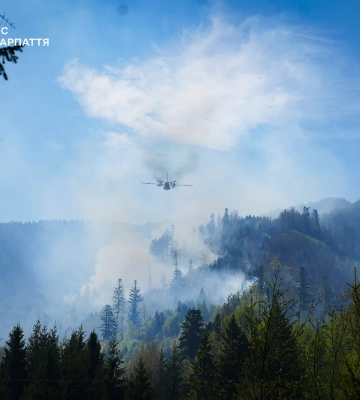 На Сарненщині локалізували масштабну лісову пожежу