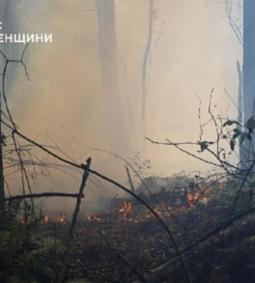 Вогнеборці приборкали масштабні лісові пожежі на Закарпатті та Рівненщині 