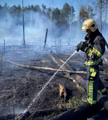 На Чернігівщині палають тисячі гектарів лісу