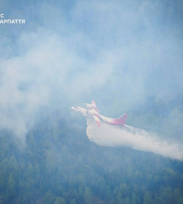 У Карпатах локалізували масштабну лісову пожежу, яка тривала три дні