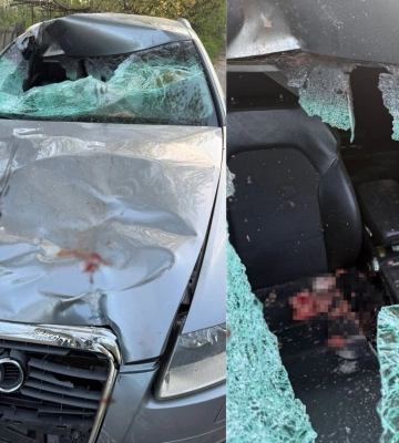 На Львівщині повідомлено про підозру водію, який під час втечі від поліції скоїв смертельну ДТП