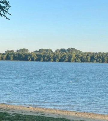 На Дунаї спостерігаються аномально низькі рівні води: ситуація на українській ділянці та подальші прогнози