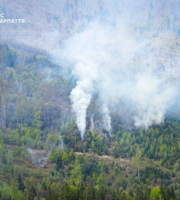 Масштабну лісову пожежу на Рівненщині локалізували: Вогонь дістався заповідника