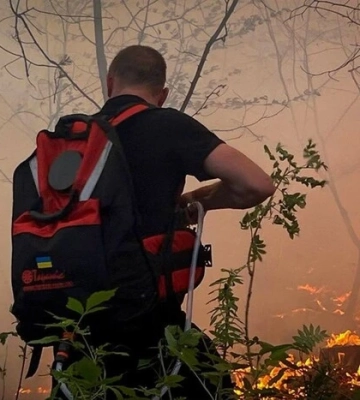 На Київщині сталася масштабна лісова пожежа, вогонь вдалося локалізувати