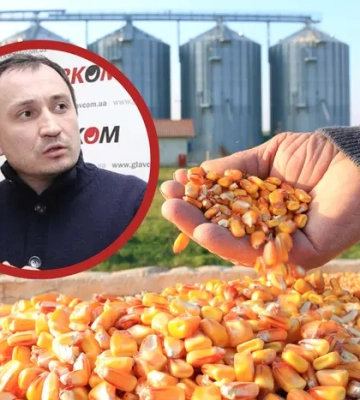 Зернова піраміда Сольського? Історія карколомної афери та арешту ексміністра