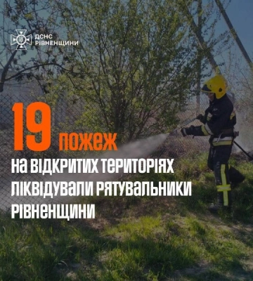 Палали чагарники та очерет: волинські вогнеборці приборкали 10 пожеж