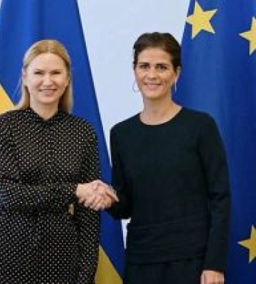 Розраховуємо на допомогу Ради Європи в уніфікації «дитячих санкцій»