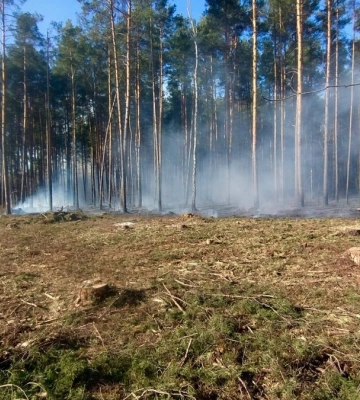 На границе Черниговской области продолжается масштабный лесной пожар, возможна эвакуация людей