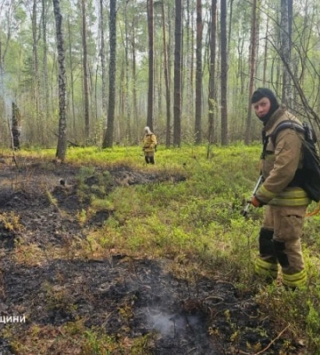 На Житомирщині рятувальники борються з катастрофічною лісовою пожежею на 500 гектарах