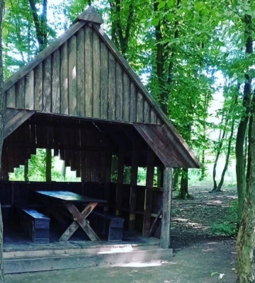 Альтанки, мангал і природа: добірка місць для відпочинку біля Луцька
