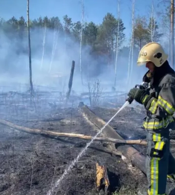 Синоптики попередили про надзвичайну пожежну небезпеку у низці областей