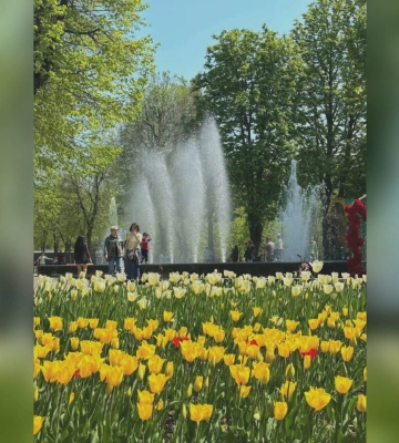 Комфортне тепло. Прогноз погоди на 9 травня у Харкові й області