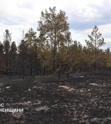 На Рівненщині ліквідували масштабну лісову пожежу