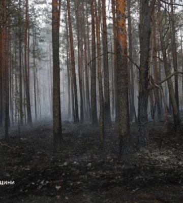 На Житомирщині триває ліквідація масштабної пожежі на території заповідника