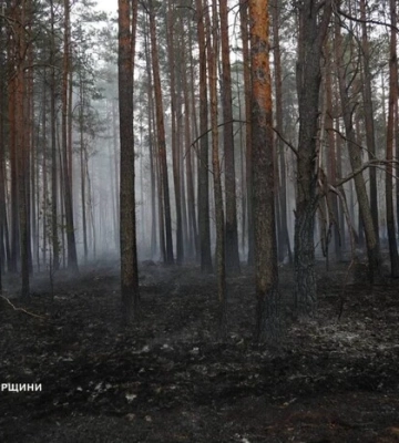 Житомирщина: на території заповідника виникла масштабна пожежа