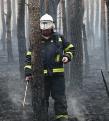 На Житомирщині триває ліквідація лісової пожежі у Поліському заповіднику