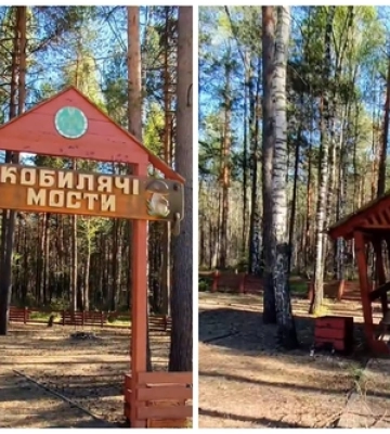 Місце, де застрягали коні: посеред лісу на Волині причаївся пункт відпочинку з цікавою назвою (відео)