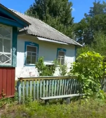 Киянка купила хату за п’ять тисяч доларів і чесно розповіла про переїзд у село