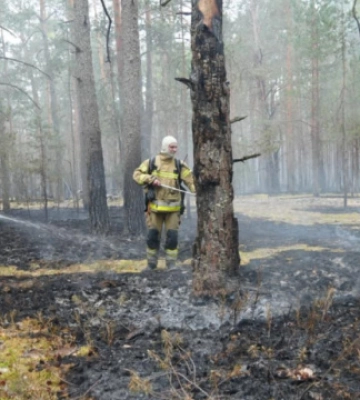 На Житомирщині триває ліквідація пожежі у Поліському заповіднику