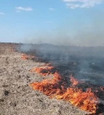 На Львівщині з початку травня вигоріло понад 40 гектарів землі через пожежі