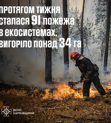 Майже сотня пожеж вирувала у природних екосистемах Харківщини – ДСНС