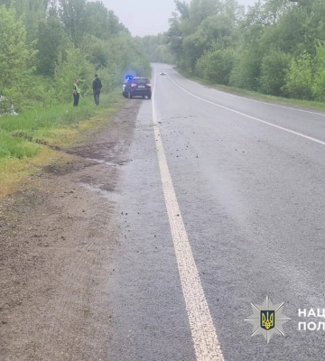 «Мерседес» перекинувся на заокругленні дороги на Черкащині (ФОТО)