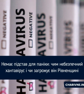 Немає підстав для паніки: чим небезпечний хантавірус і чи загрожує він Рівненщині
