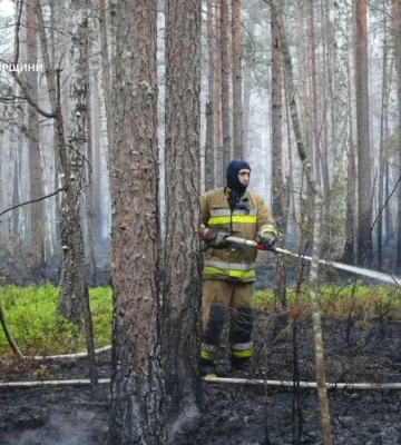 На Житомирщині четверту добу триває гасіння масштабної лісової пожежі