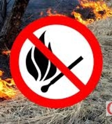 Одна іскра — гектари попелу: чому спалювання сухостою на Житомирщині є смертельно небезпечним