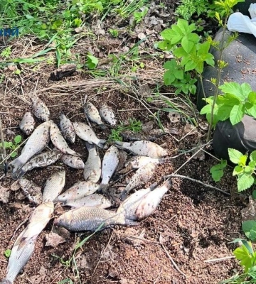 На Черкащині чоловік незаконно наловив 32 карасі (ФОТО)