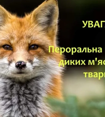 На Львівщині принадами вакцинуватимуть проти сказу диких м’ясоїдних тварин