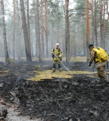 В трьох областях України триває гасіння масштабних лісових пожеж