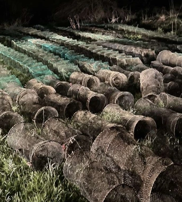 Водій з’їхав у кювет, врізався у дерево і загинув на Черкащині