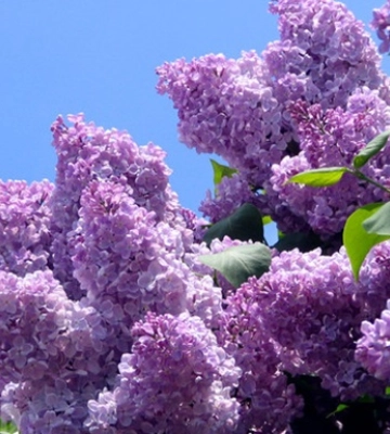 Праздники 13 мая 2026 года: что нельзя делать в этот день